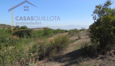 Terreno de 8.5 Hectáreas. San Pedro