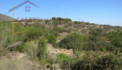 Terreno de 8.5 Hectáreas. San Pedro