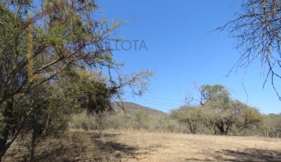 Terreno de 8.5 Hectáreas. San Pedro