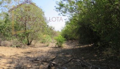 Terreno de 8.5 Hectáreas. San Pedro