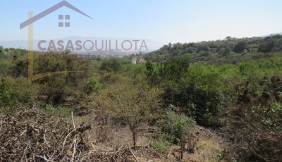 Terreno de 8.5 Hectáreas. San Pedro