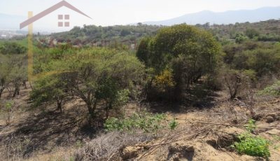 Terreno de 8.5 Hectáreas. San Pedro
