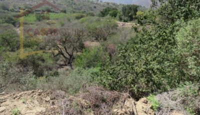 Terreno de 8.5 Hectáreas. San Pedro