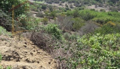 Terreno de 8.5 Hectáreas. San Pedro