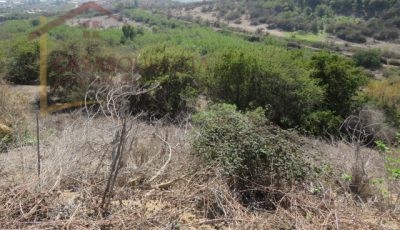 Terreno de 8.5 Hectáreas. San Pedro