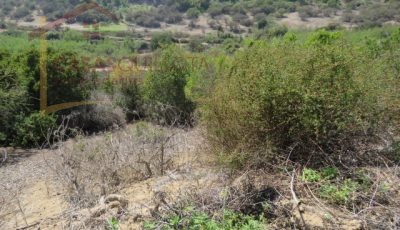 Terreno de 8.5 Hectáreas. San Pedro