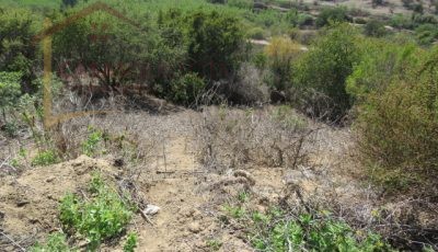 Terreno de 8.5 Hectáreas. San Pedro