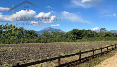 Parcelas El Bosque