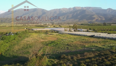 Parcelas El Bosque