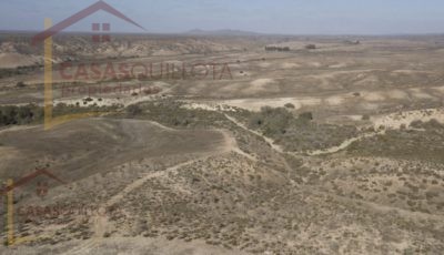 700 hectáreas de excelente terreno agrícola en Socos